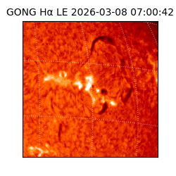 gong - 2026-03-08T07:00:42