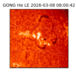 gong - 2026-03-08T08:00:42