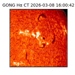 gong - 2026-03-08T16:00:42