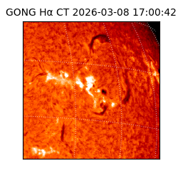 gong - 2026-03-08T17:00:42