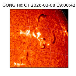 gong - 2026-03-08T19:00:42