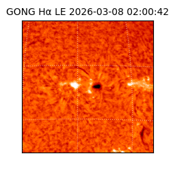 gong - 2026-03-08T02:00:42