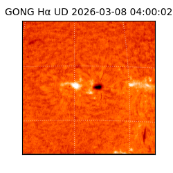 gong - 2026-03-08T04:00:02