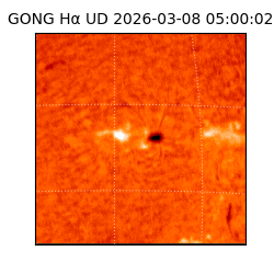 gong - 2026-03-08T05:00:02