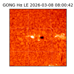 gong - 2026-03-08T08:00:42