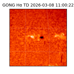 gong - 2026-03-08T11:00:22