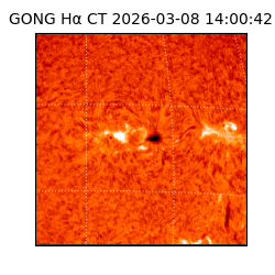 gong - 2026-03-08T14:00:42