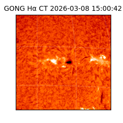 gong - 2026-03-08T15:00:42