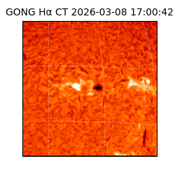 gong - 2026-03-08T17:00:42