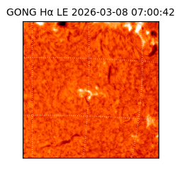 gong - 2026-03-08T07:00:42