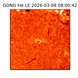 gong - 2026-03-08T08:00:42