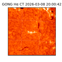 gong - 2026-03-08T20:00:42