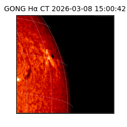 gong - 2026-03-08T15:00:42
