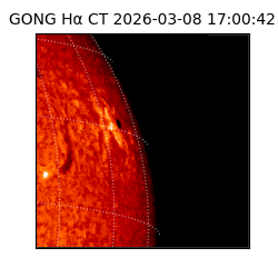 gong - 2026-03-08T17:00:42