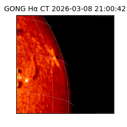 gong - 2026-03-08T21:00:42