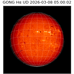 gong - 2026-03-08T05:00:02