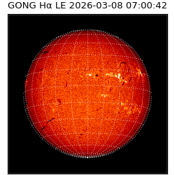 gong - 2026-03-08T07:00:42