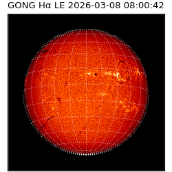 gong - 2026-03-08T08:00:42