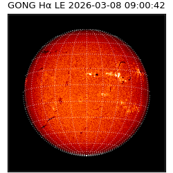 gong - 2026-03-08T09:00:42
