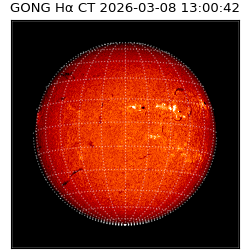 gong - 2026-03-08T13:00:42
