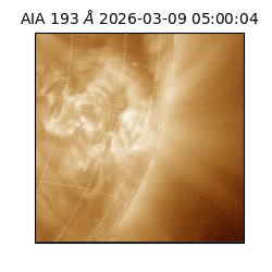 saia - 2026-03-09T05:00:04.840000