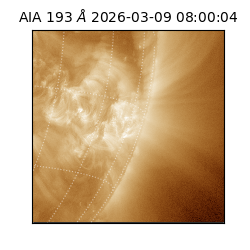 saia - 2026-03-09T08:00:04.840000