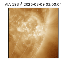 saia - 2026-03-09T03:00:04.840000
