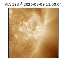 saia - 2026-03-09T11:00:04.840000