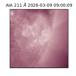 saia - 2026-03-09T09:00:09.620000