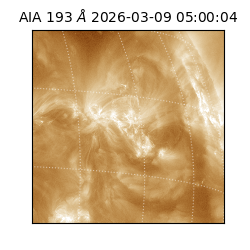 saia - 2026-03-09T05:00:04.840000