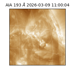 saia - 2026-03-09T11:00:04.840000