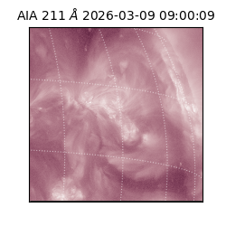 saia - 2026-03-09T09:00:09.620000