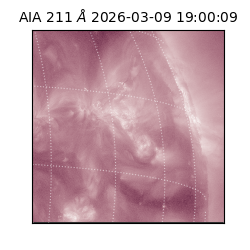 saia - 2026-03-09T19:00:09.620000