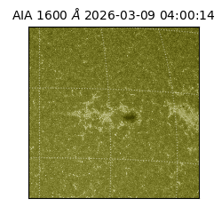 saia - 2026-03-09T04:00:14.120000