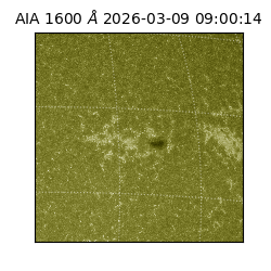 saia - 2026-03-09T09:00:14.120000