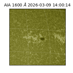 saia - 2026-03-09T14:00:14.120000