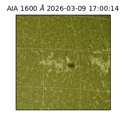 saia - 2026-03-09T17:00:14.120000