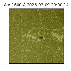 saia - 2026-03-09T20:00:14.120000