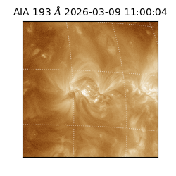 saia - 2026-03-09T11:00:04.840000