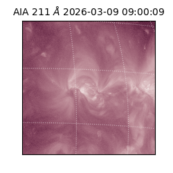 saia - 2026-03-09T09:00:09.620000