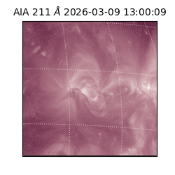 saia - 2026-03-09T13:00:09.620000