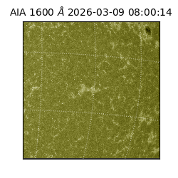 saia - 2026-03-09T08:00:14.120000