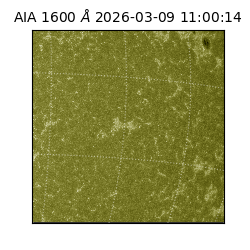 saia - 2026-03-09T11:00:14.120000