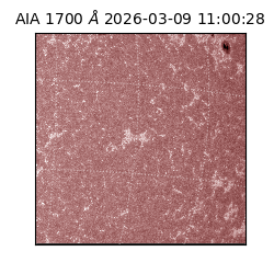 saia - 2026-03-09T11:00:28.450000