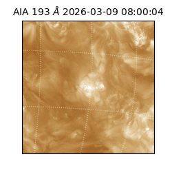 saia - 2026-03-09T08:00:04.840000