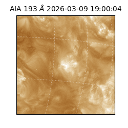 saia - 2026-03-09T19:00:04.840000