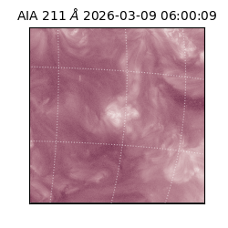 saia - 2026-03-09T06:00:09.620000