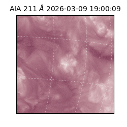 saia - 2026-03-09T19:00:09.620000