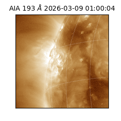 saia - 2026-03-09T01:00:04.840000