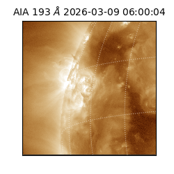 saia - 2026-03-09T06:00:04.840000